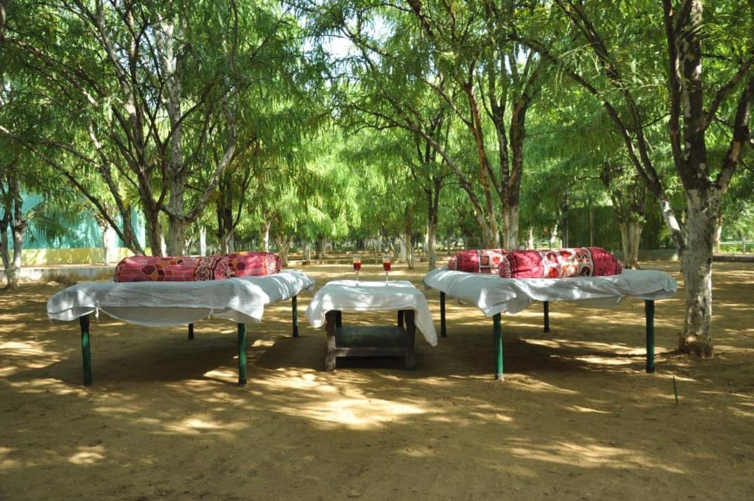 Matoshree Green Stay Sariska Tehla Exterior foto
